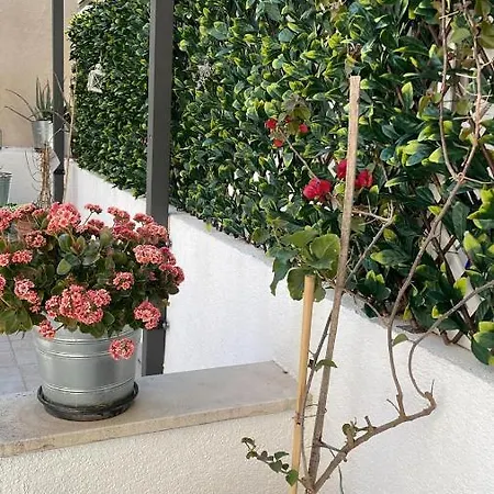 Appartement True Colors Split