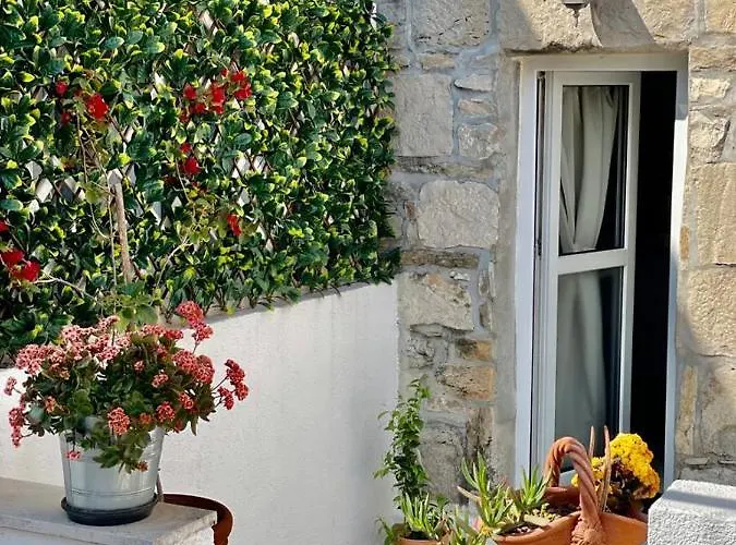 Apartament True Colors