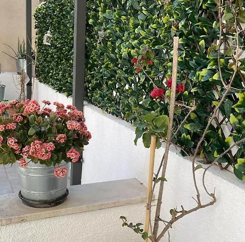 Apartament True Colors Split