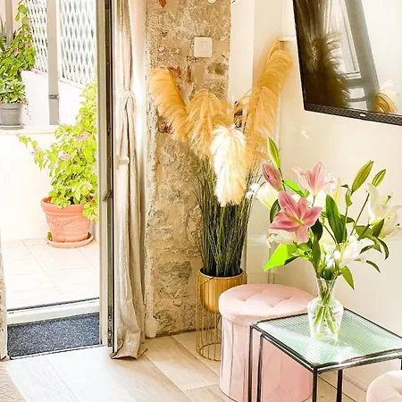 True Colors * スプリト