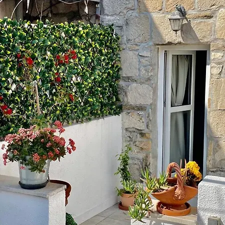 Lägenhet True Colors