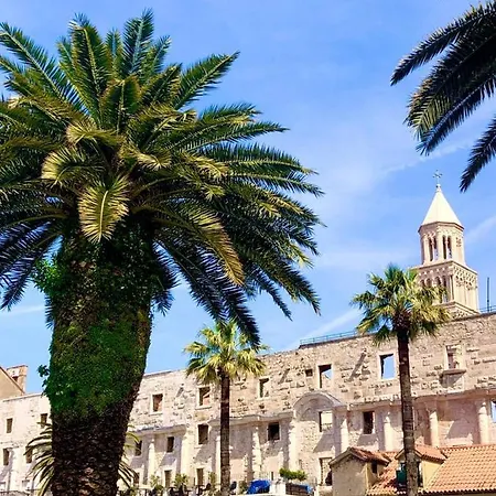 True Colors スプリト