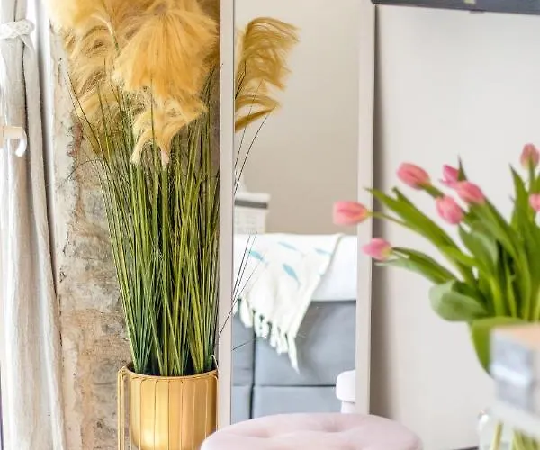 True Colors Appartement *