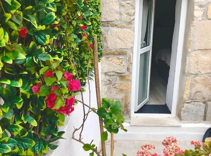 Apartmán True Colors *