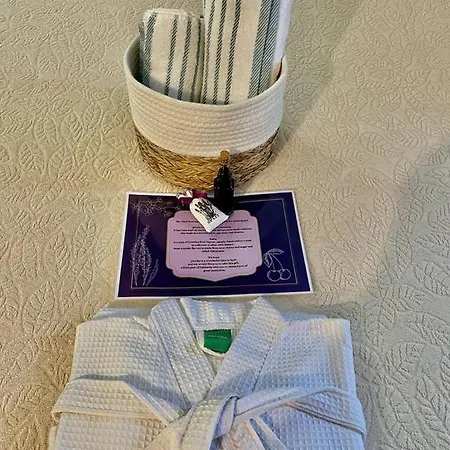 True Colors Апартаменты Сплит